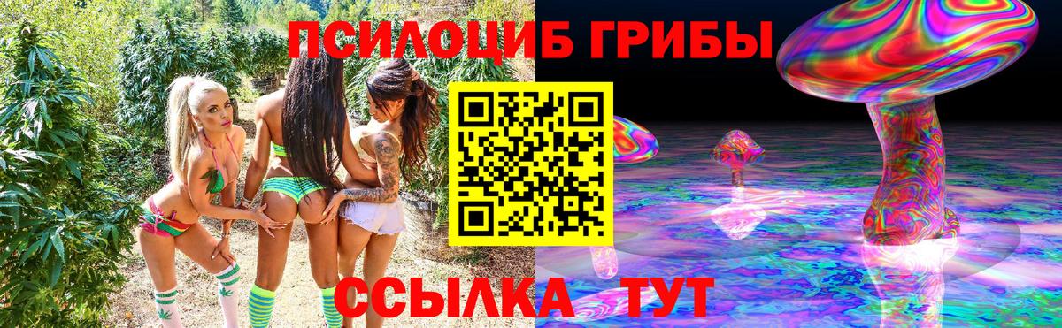 Галлюциногенные грибы Cubensis  Вход с VPN  Лениногорск 