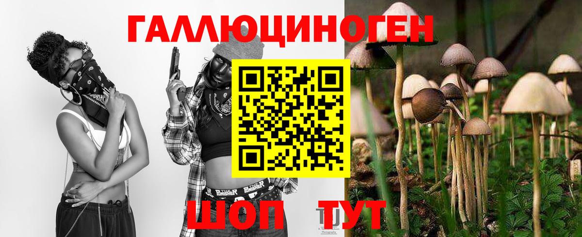Псилоцибиновые грибы Magic Shrooms Лениногорск